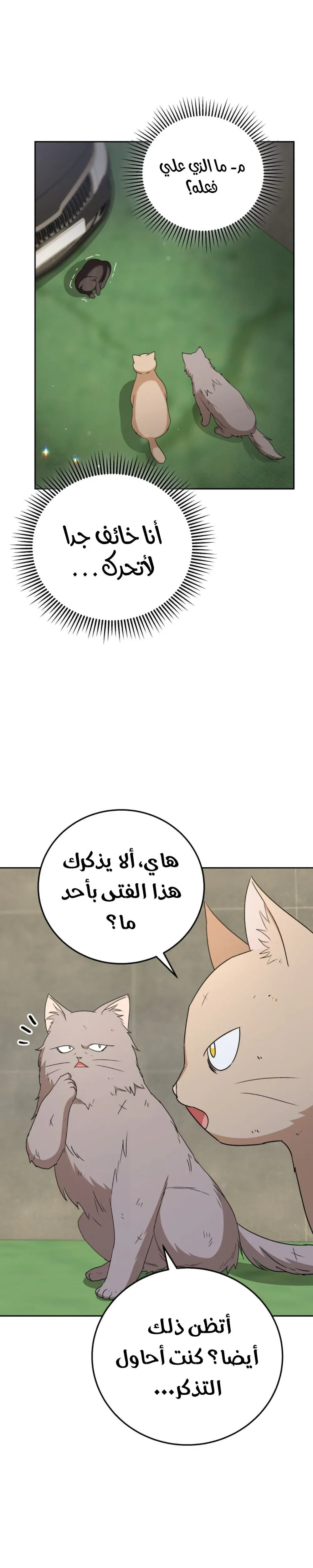 Read Hello, Mr. Veterinarian AR Manga Online