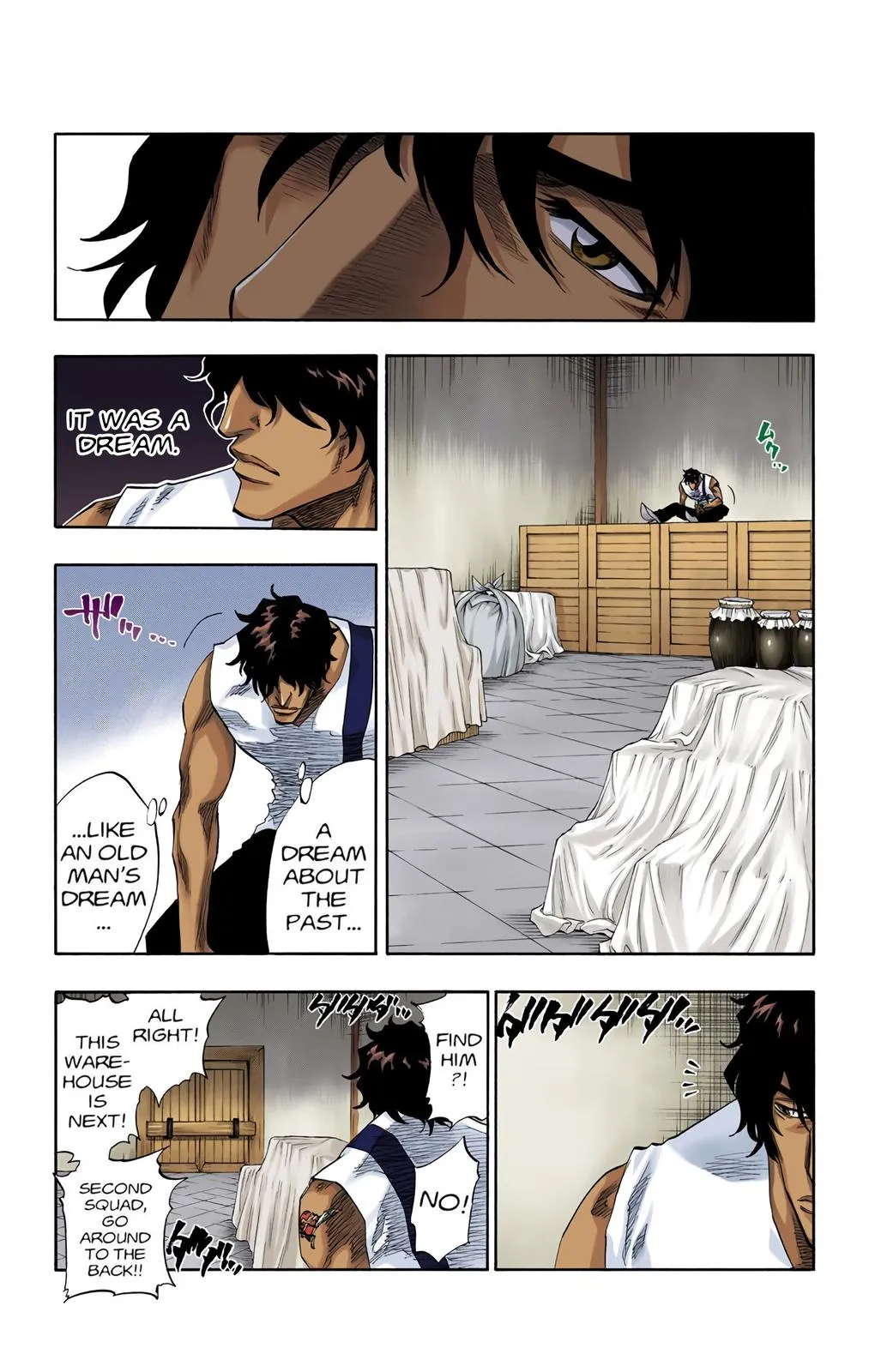 Read Bleach (Color) Manga Online