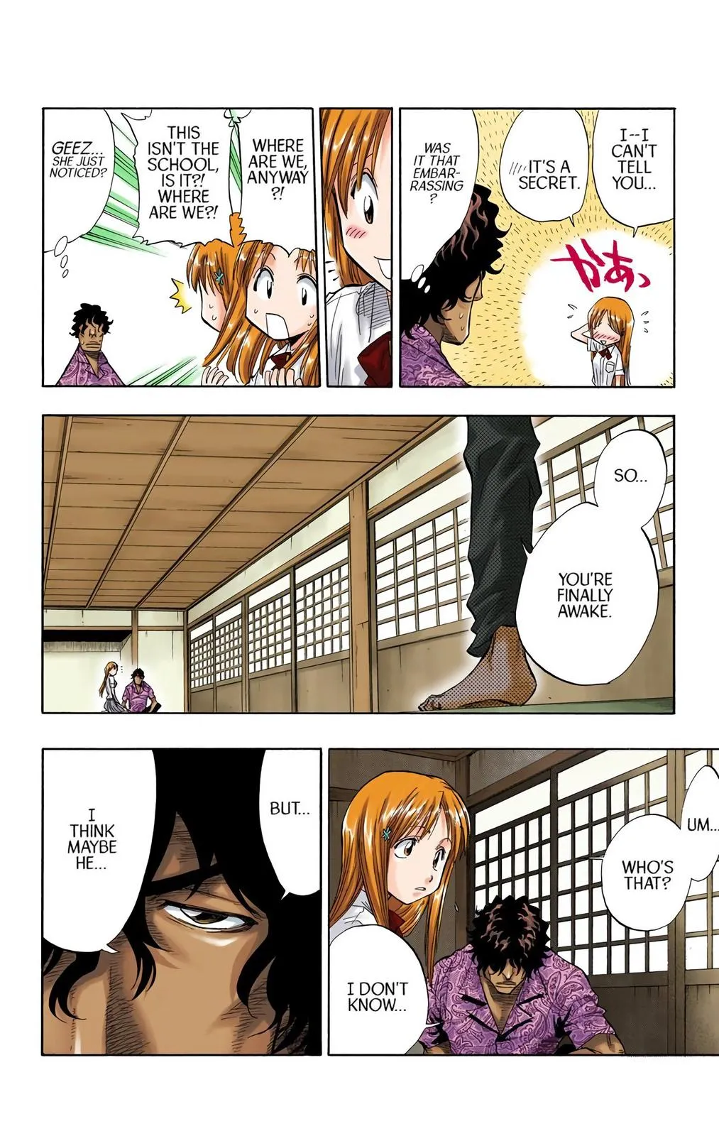 Read Bleach (Color) Manga Online