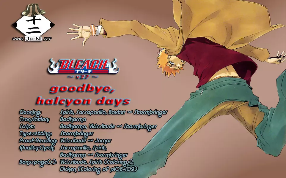 Read Bleach Manga Online