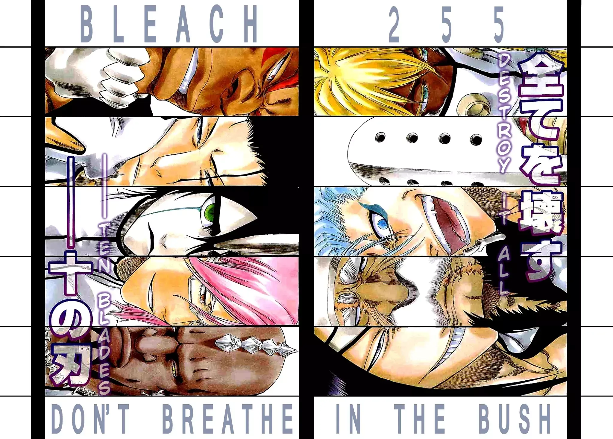 Read Bleach Manga Online