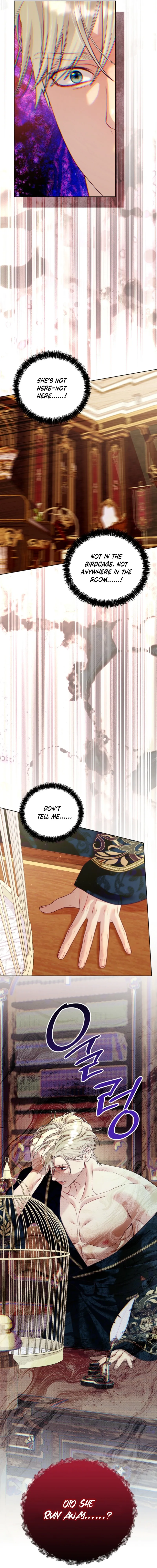 Read Collector's Cage Manga Online