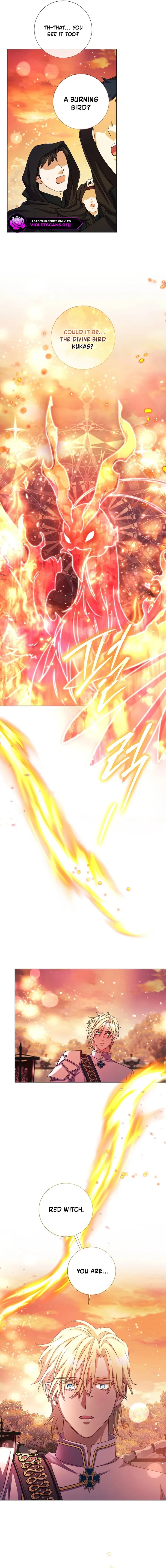 Read Divorcing the Emperor Manga Online