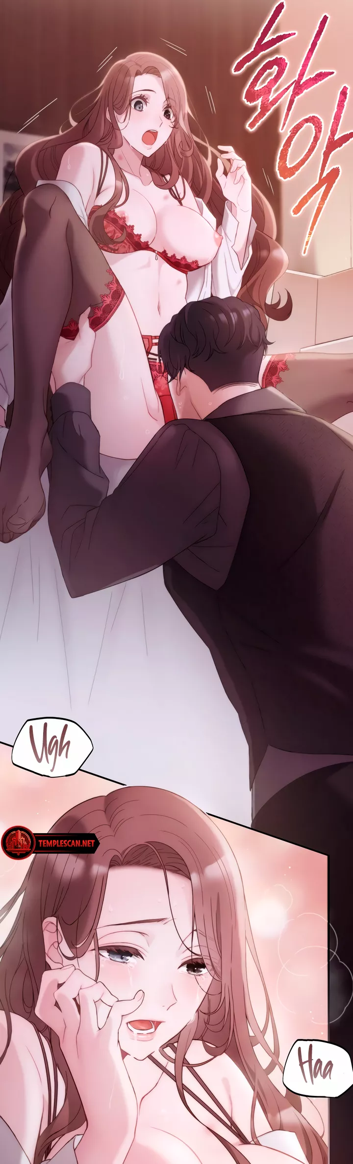 Read Doberman Manga Online