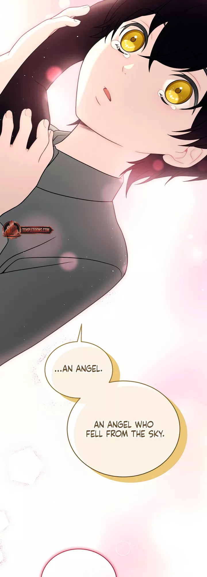 Read Doberman Manga Online
