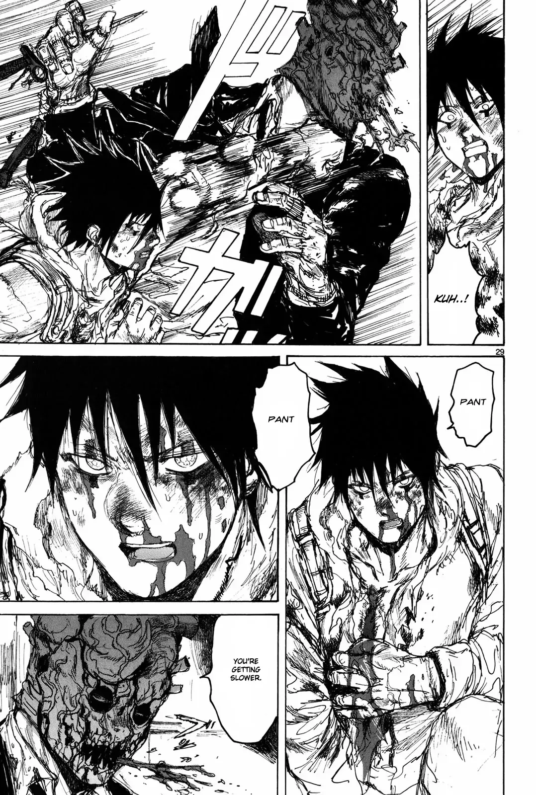Read Dorohedoro Manga Online