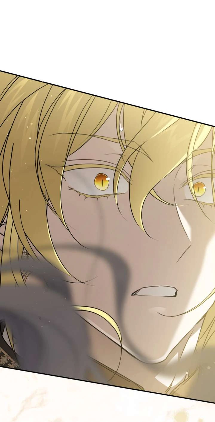 Read Into the Light Once Again Manga Online