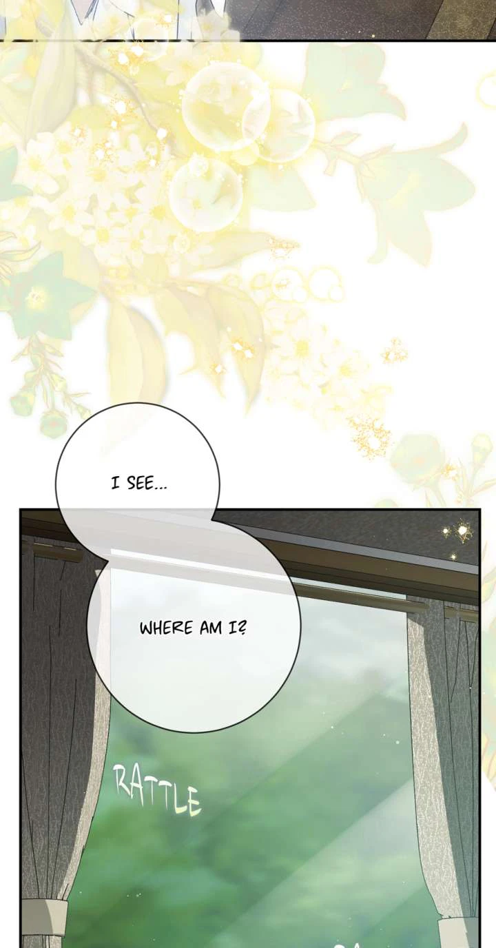 Read Into the Light Once Again Manga Online