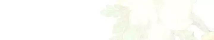 Read Love by Mistake Manga Online