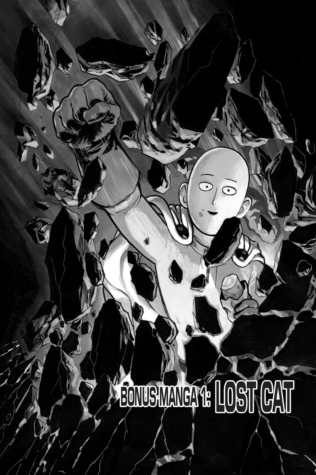 Read One Punch-Man Manga Online