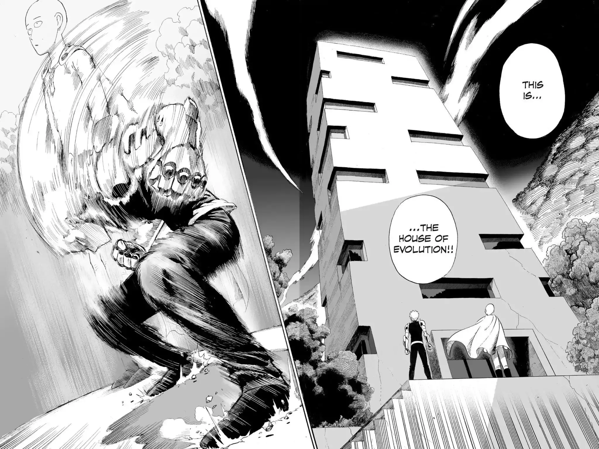 Read One Punch-Man Manga Online