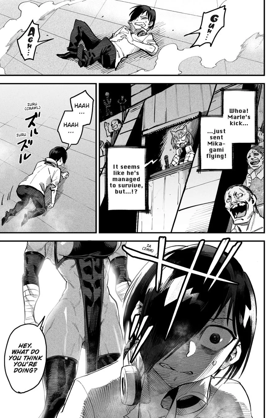Read Reincarnation Coliseum Manga Online