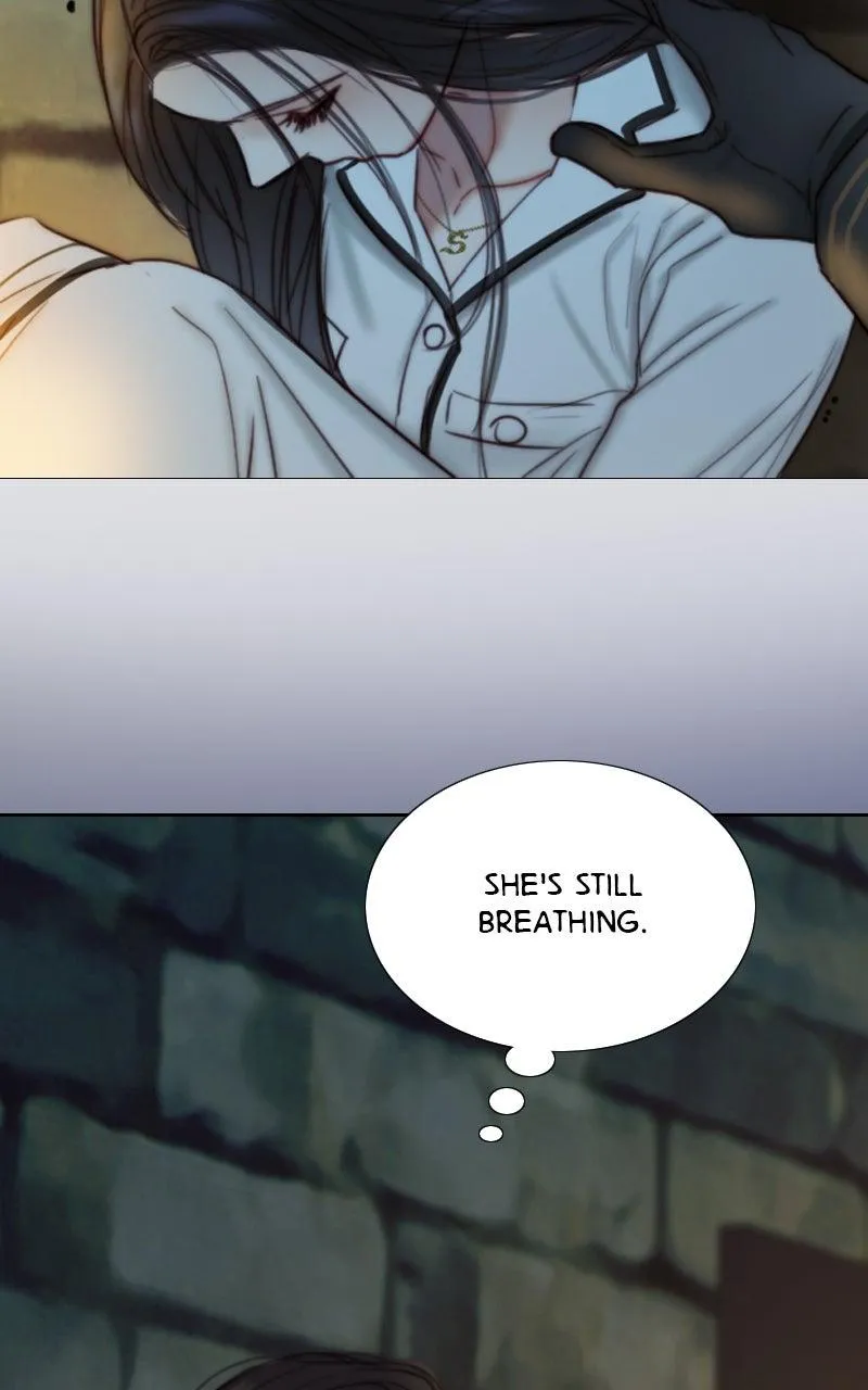 Read Serena Manga Online