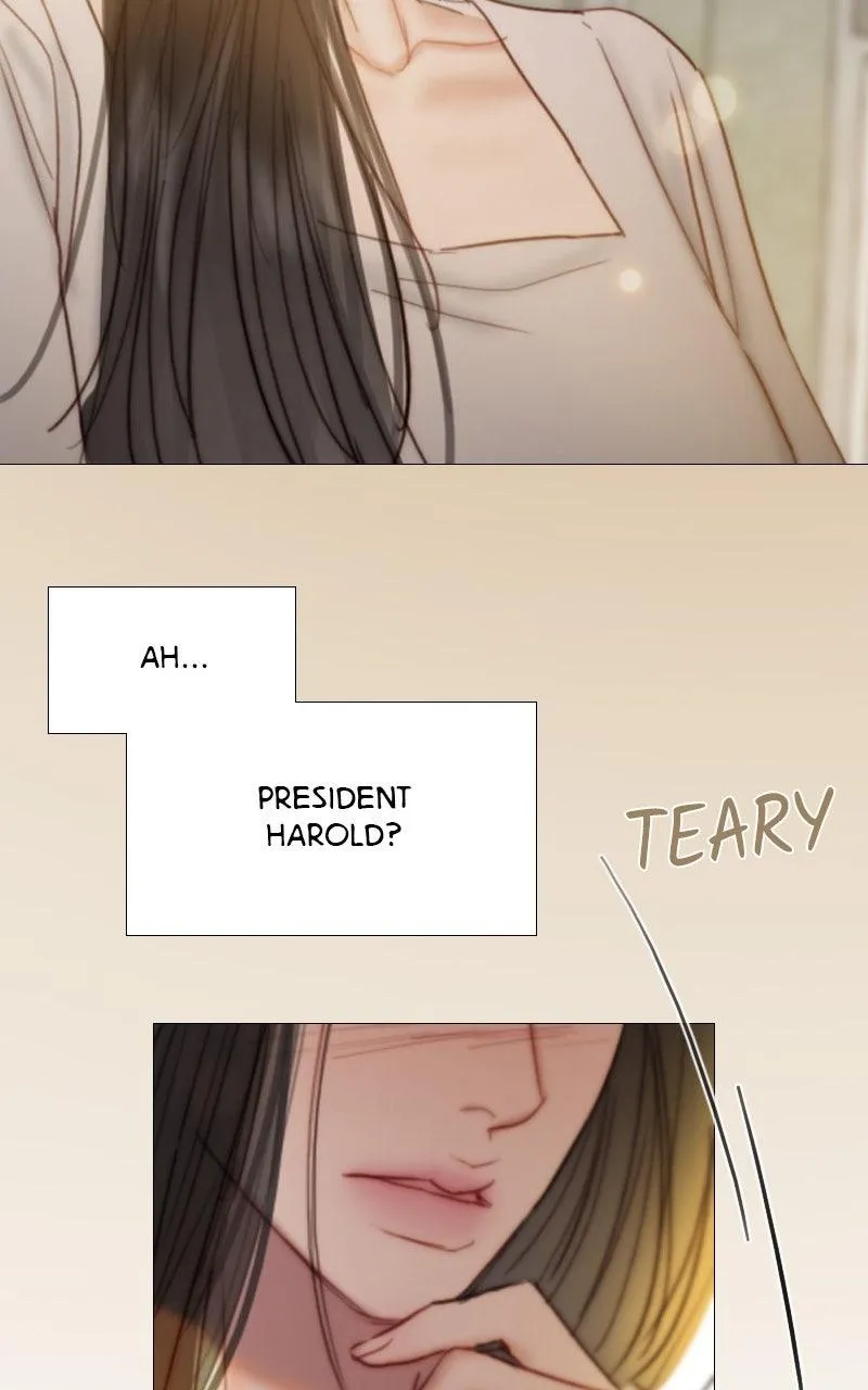 Read Serena Manga Online