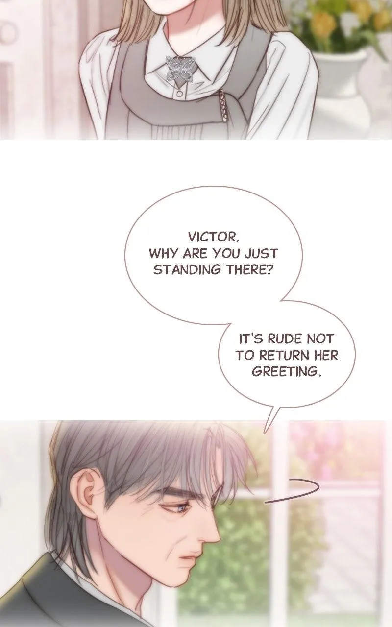 Read Serena Manga Online