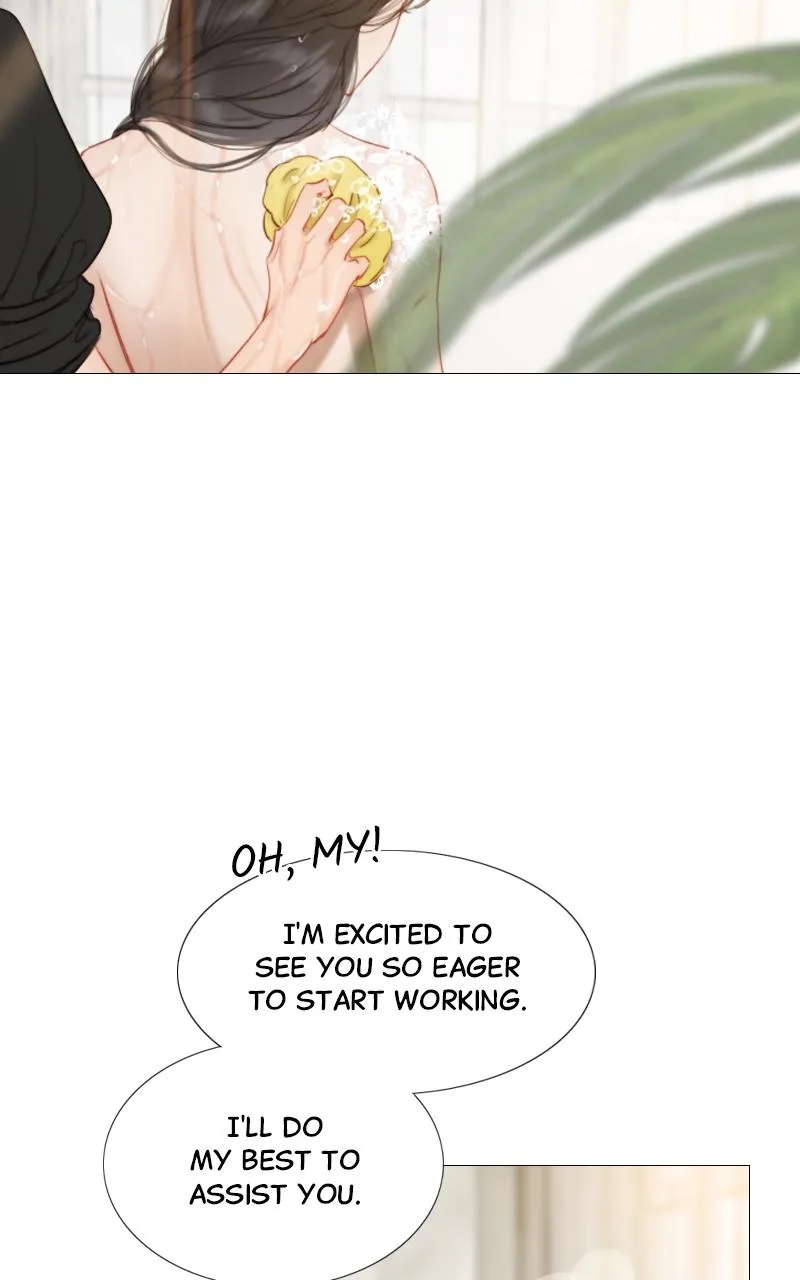 Read Serena Manga Online