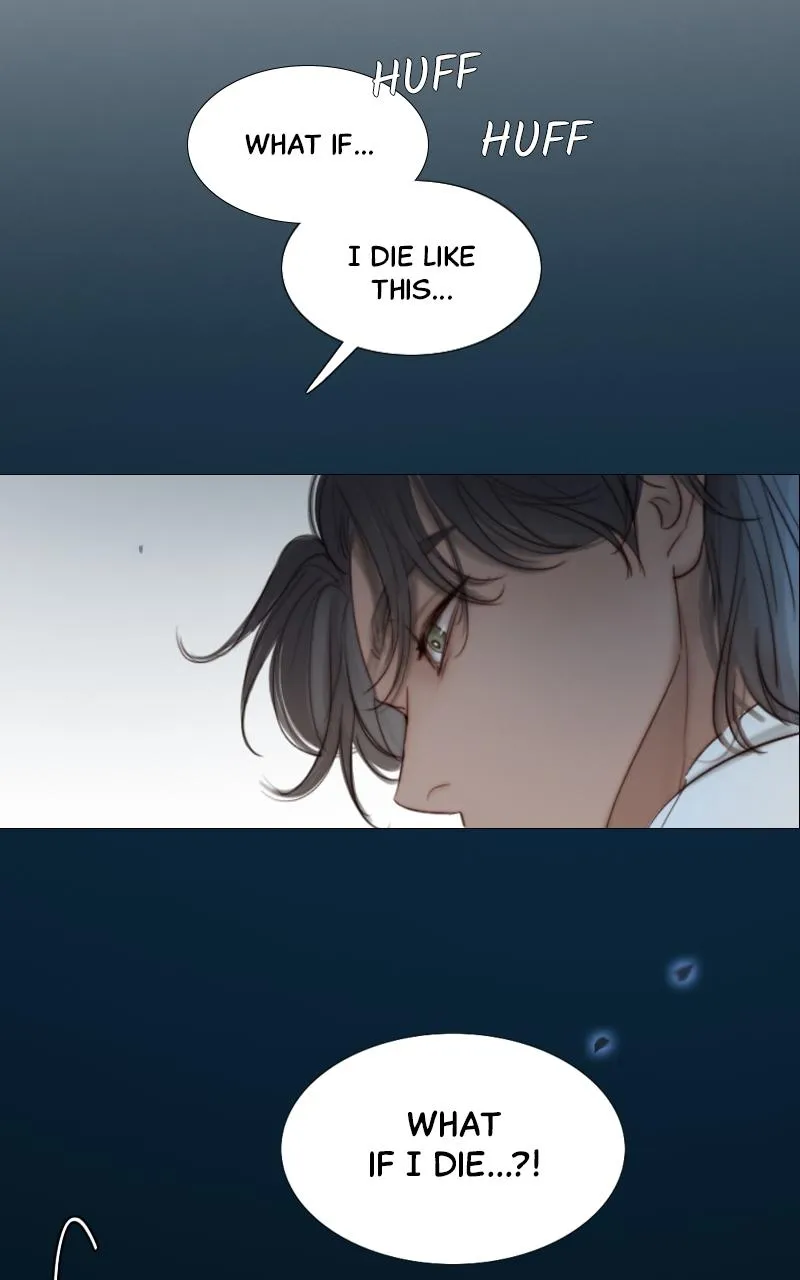 Read Serena Manga Online