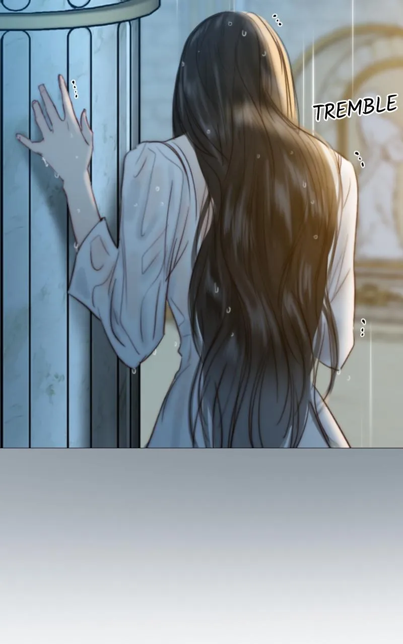 Read Serena Manga Online