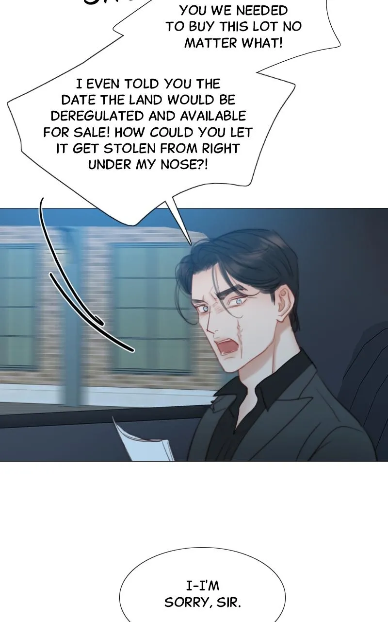 Read Serena Manga Online