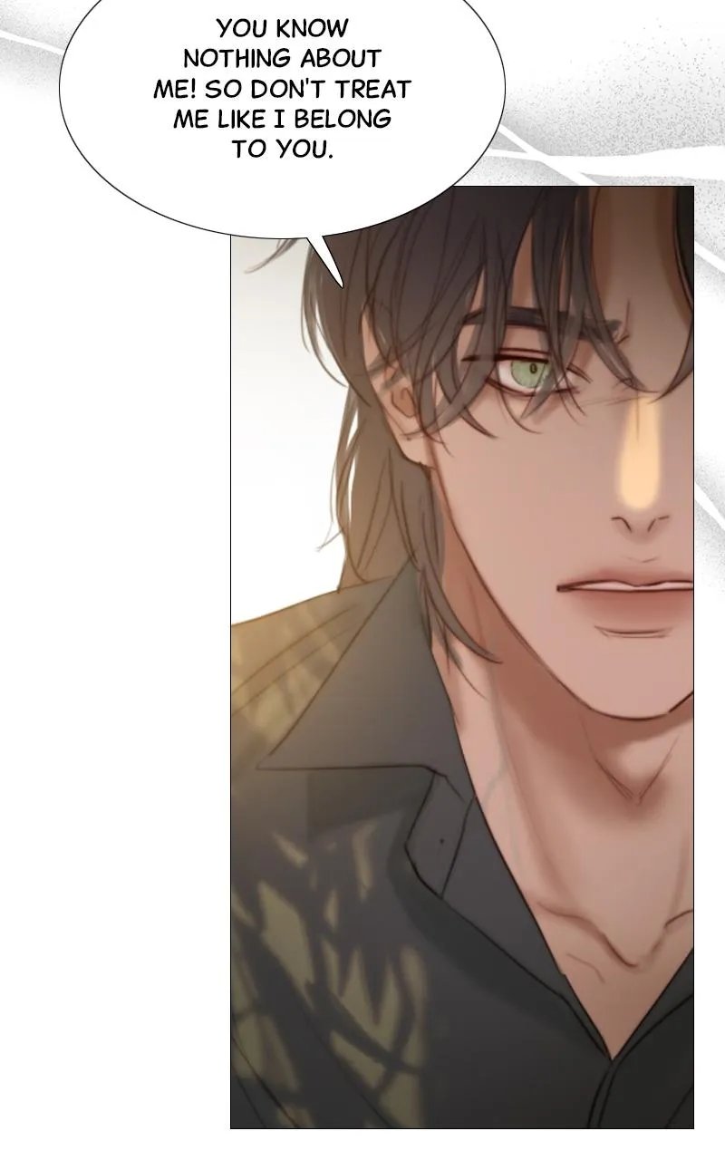 Read Serena Manga Online