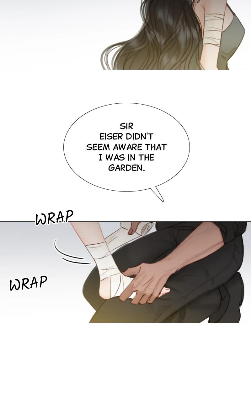 Read Serena Manga Online
