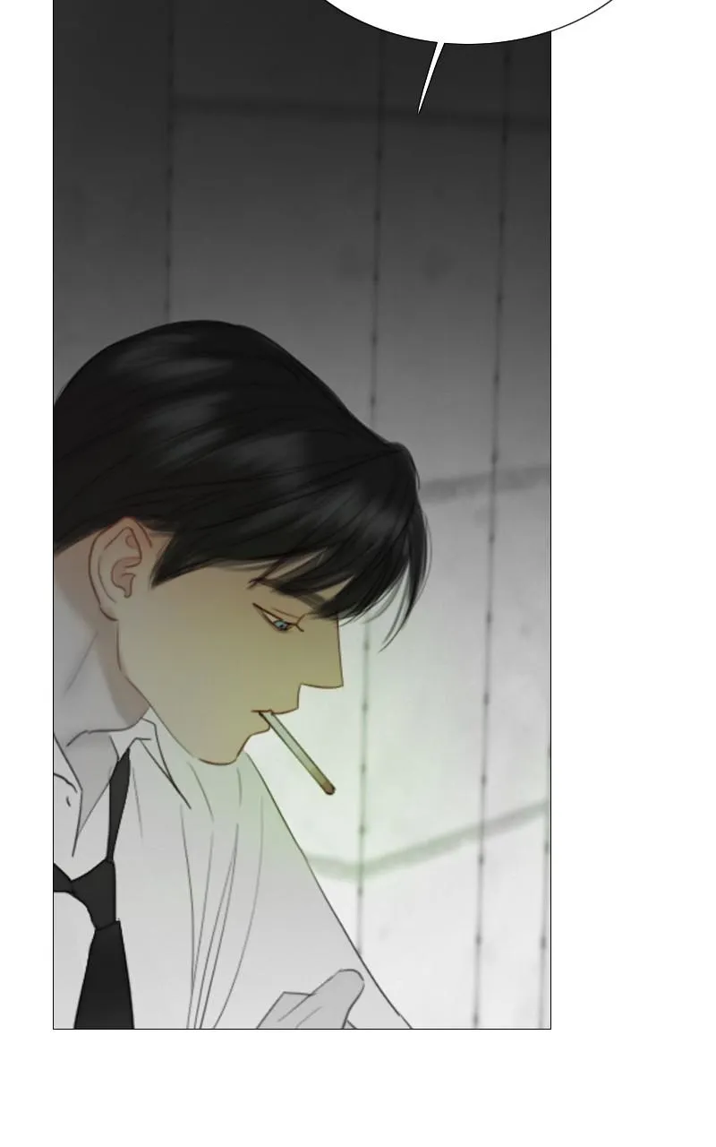 Read Serena Manga Online