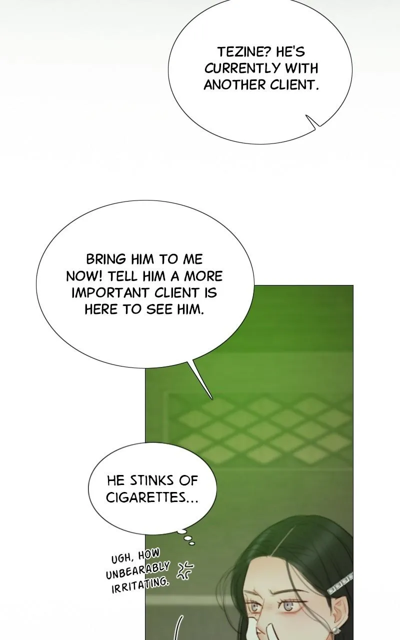 Read Serena Manga Online