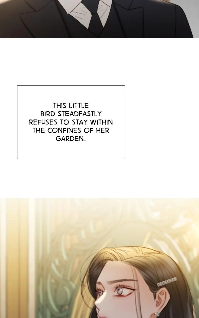 Read Serena Manga Online