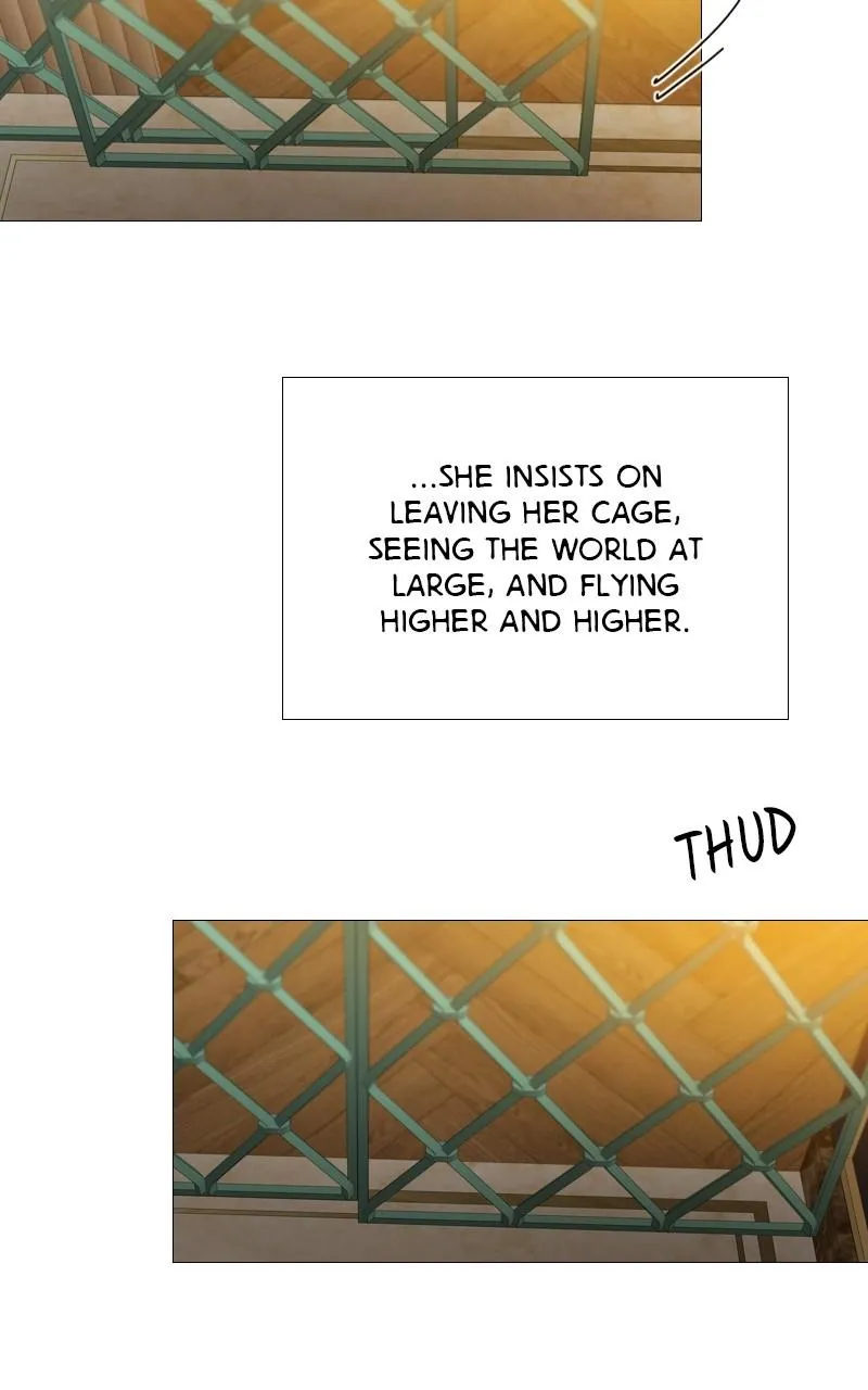 Read Serena Manga Online