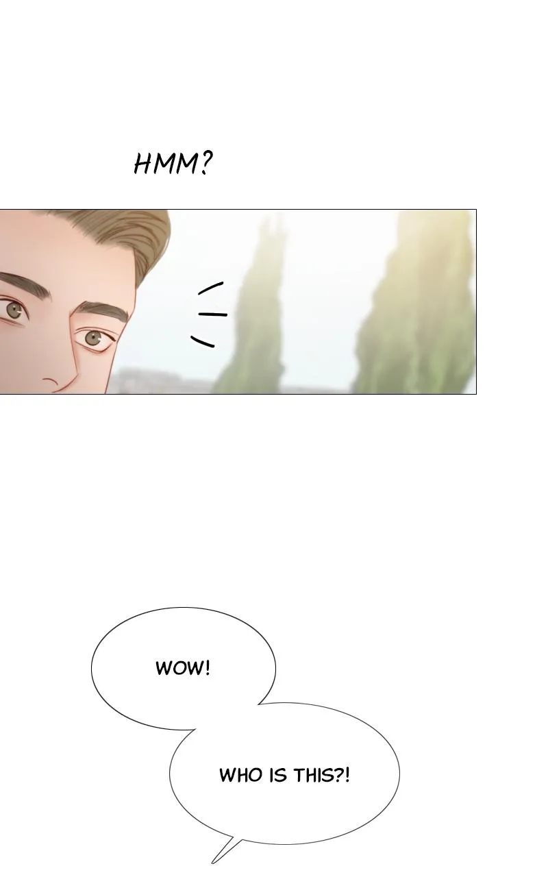 Read Serena Manga Online