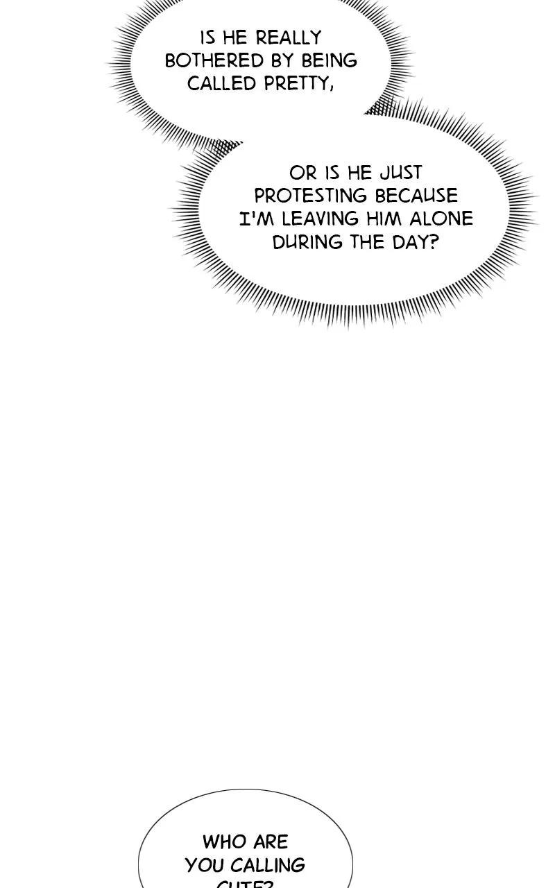 Read Serena Manga Online