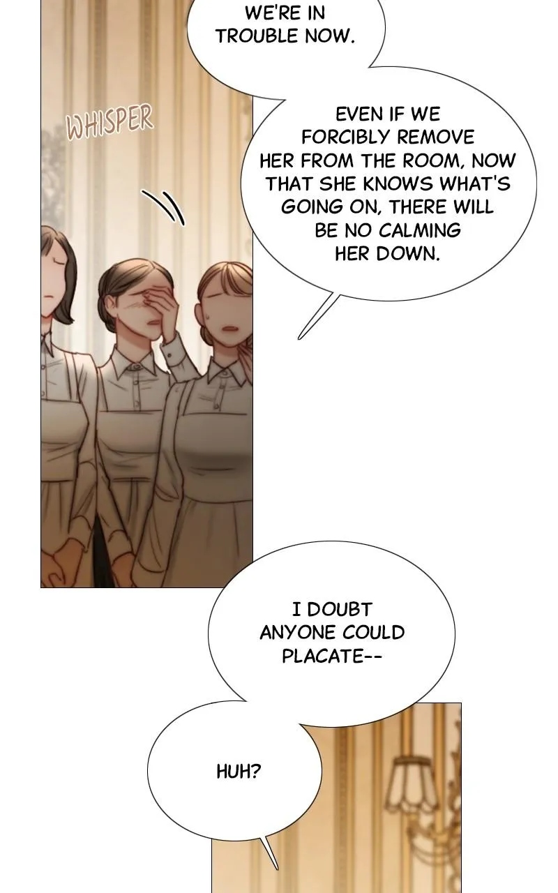 Read Serena Manga Online