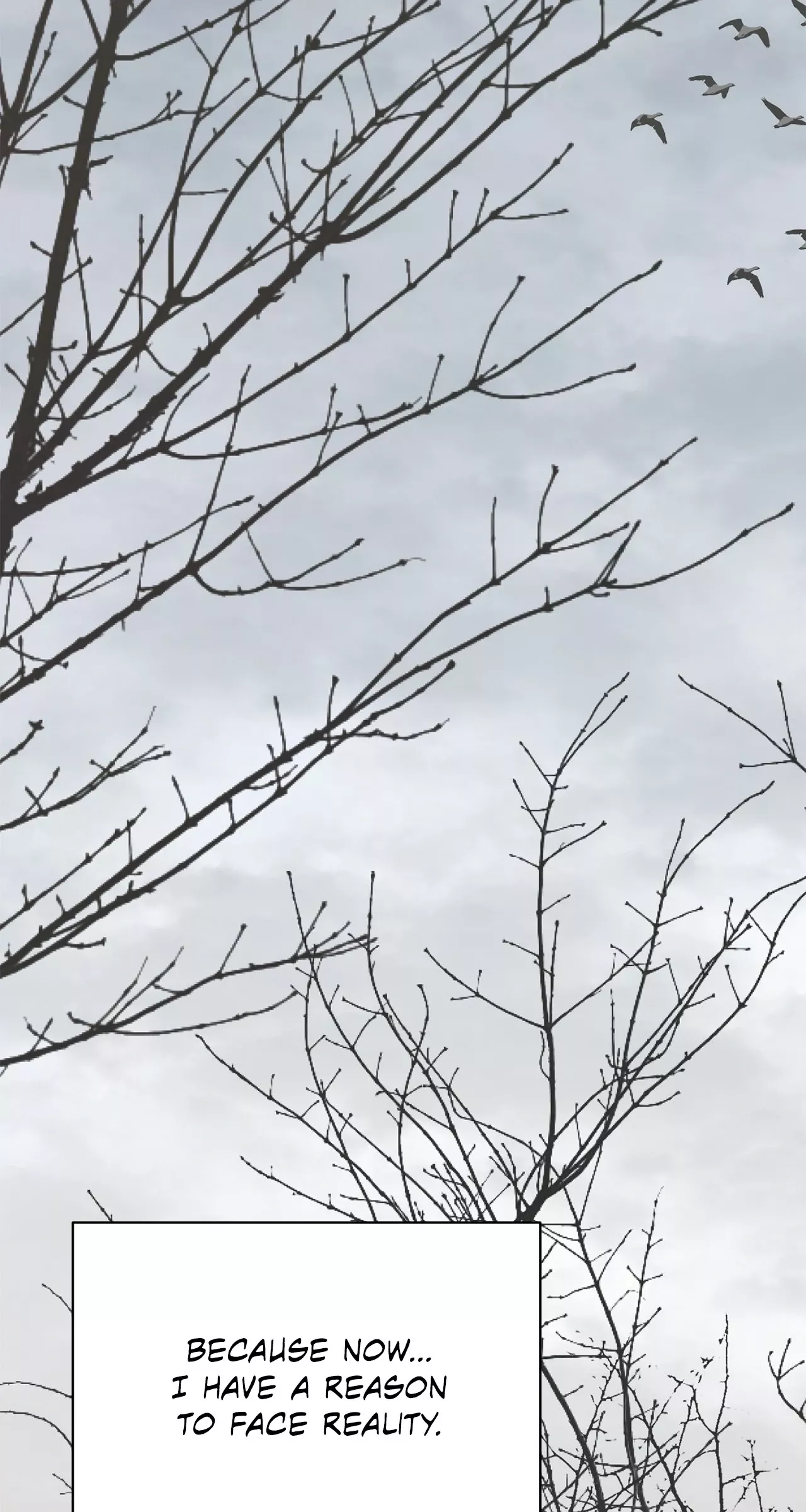 Read The Absolute Threshold Manga Online