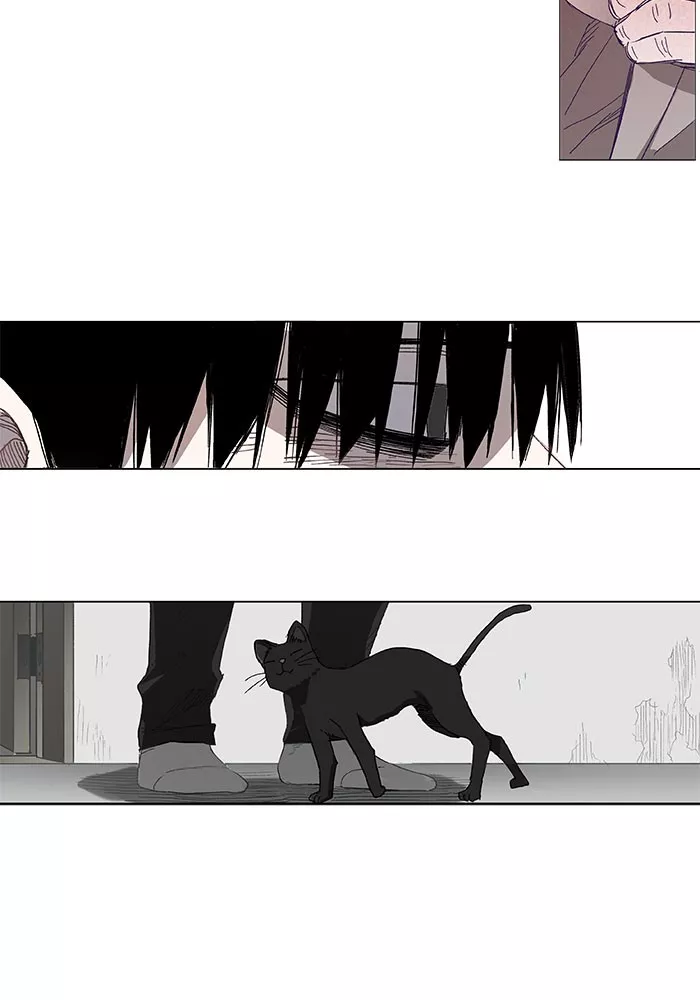 Read The Boxer Manga Online