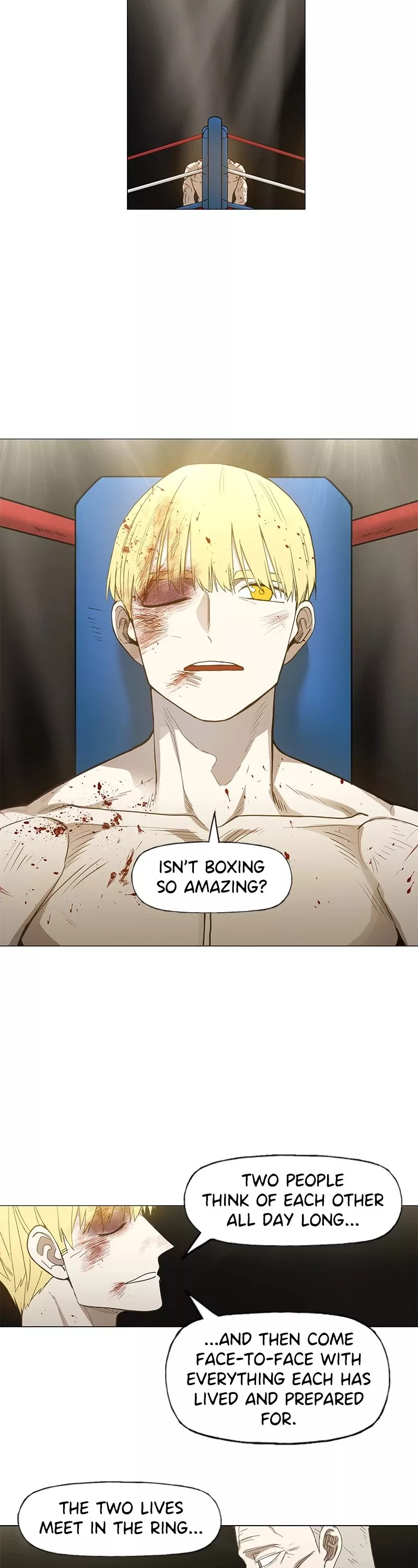 Read The Boxer Manga Online