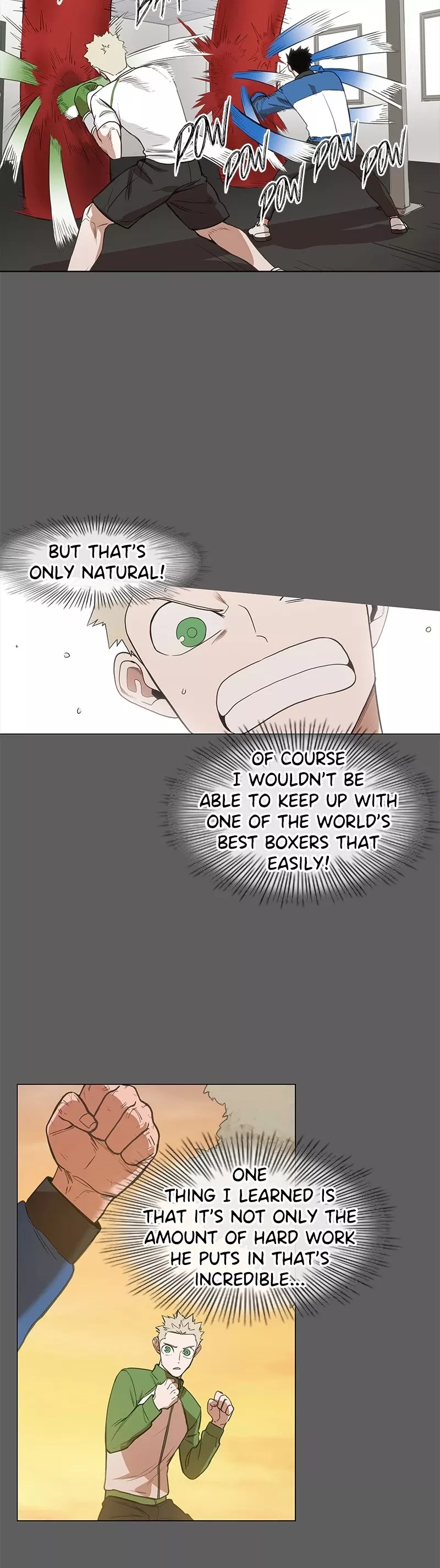 Read The Boxer Manga Online