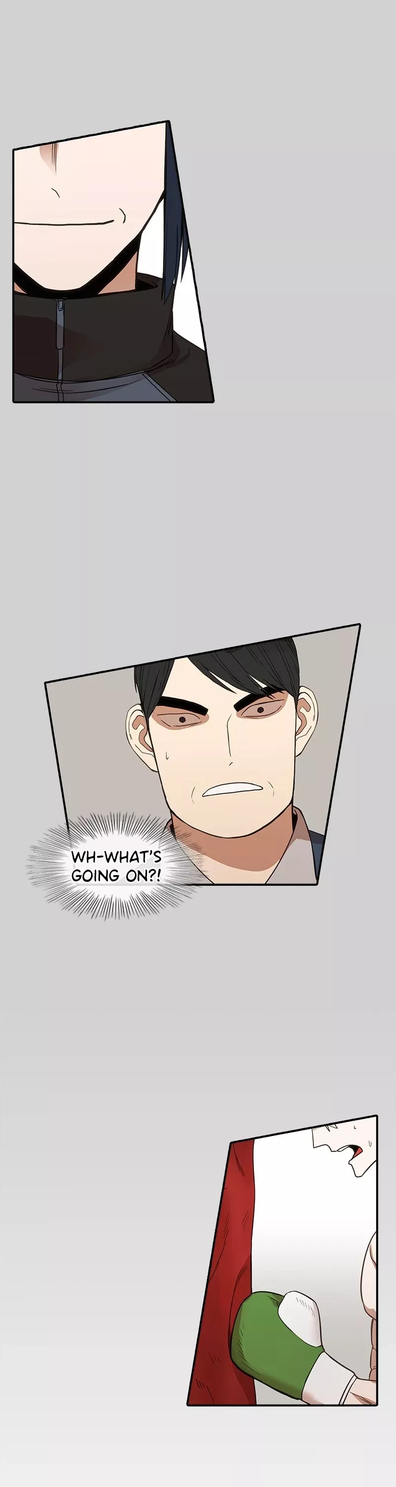 Read The Boxer Manga Online