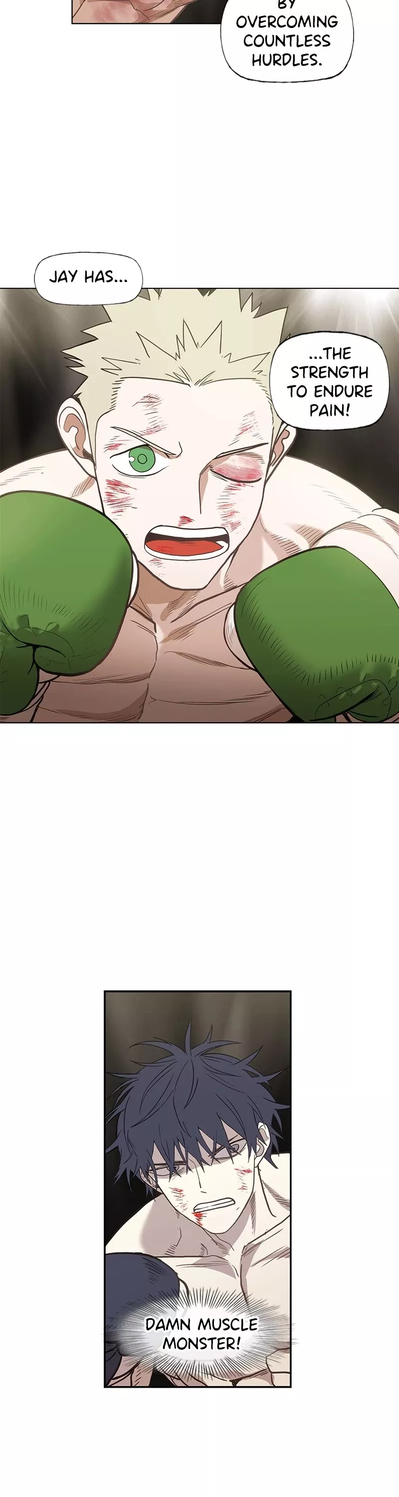 Read The Boxer Manga Online
