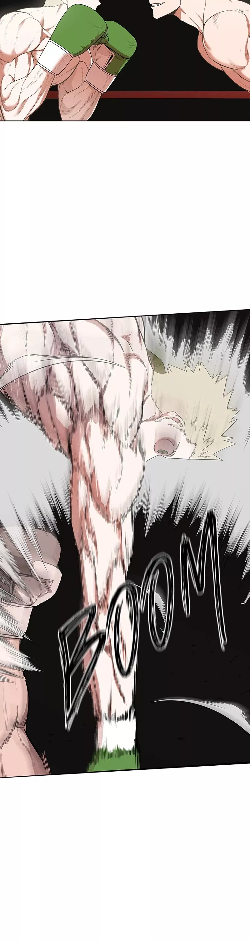 Read The Boxer Manga Online