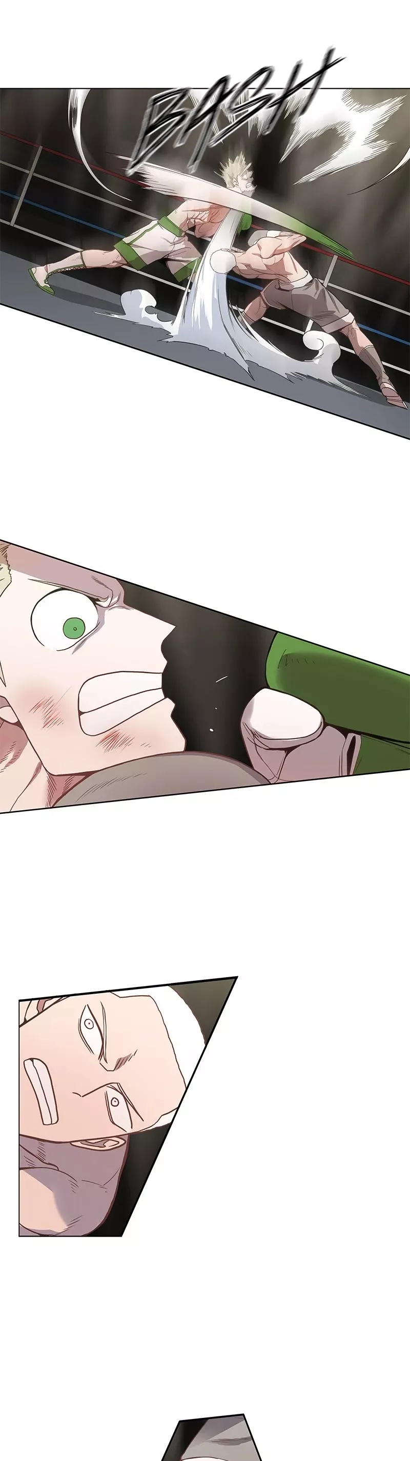 Read The Boxer Manga Online