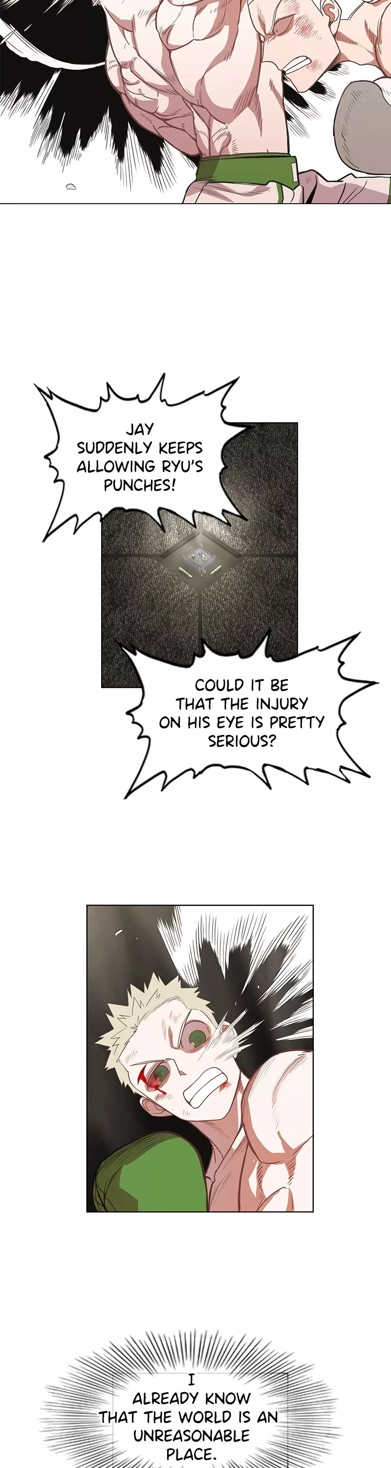 Read The Boxer Manga Online