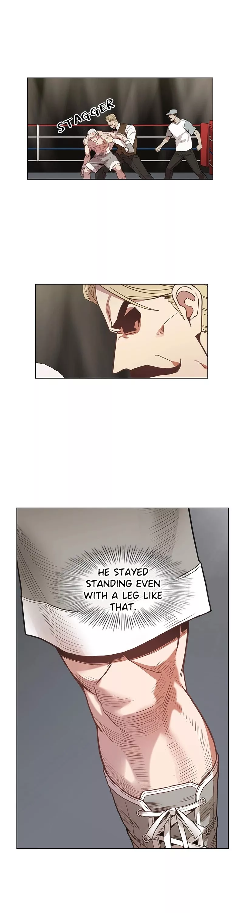 Read The Boxer Manga Online