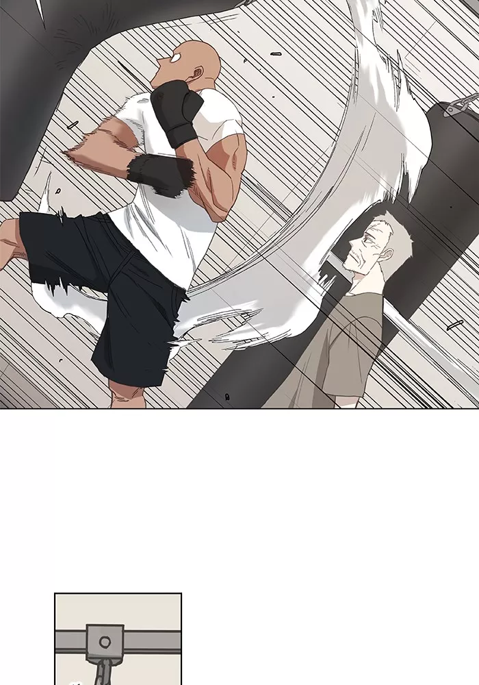 Read The Boxer Manga Online