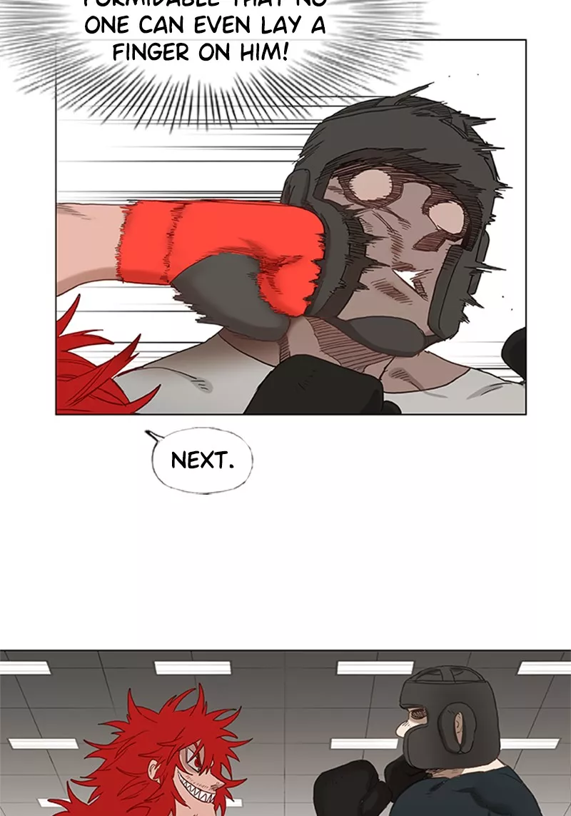 Read The Boxer Manga Online