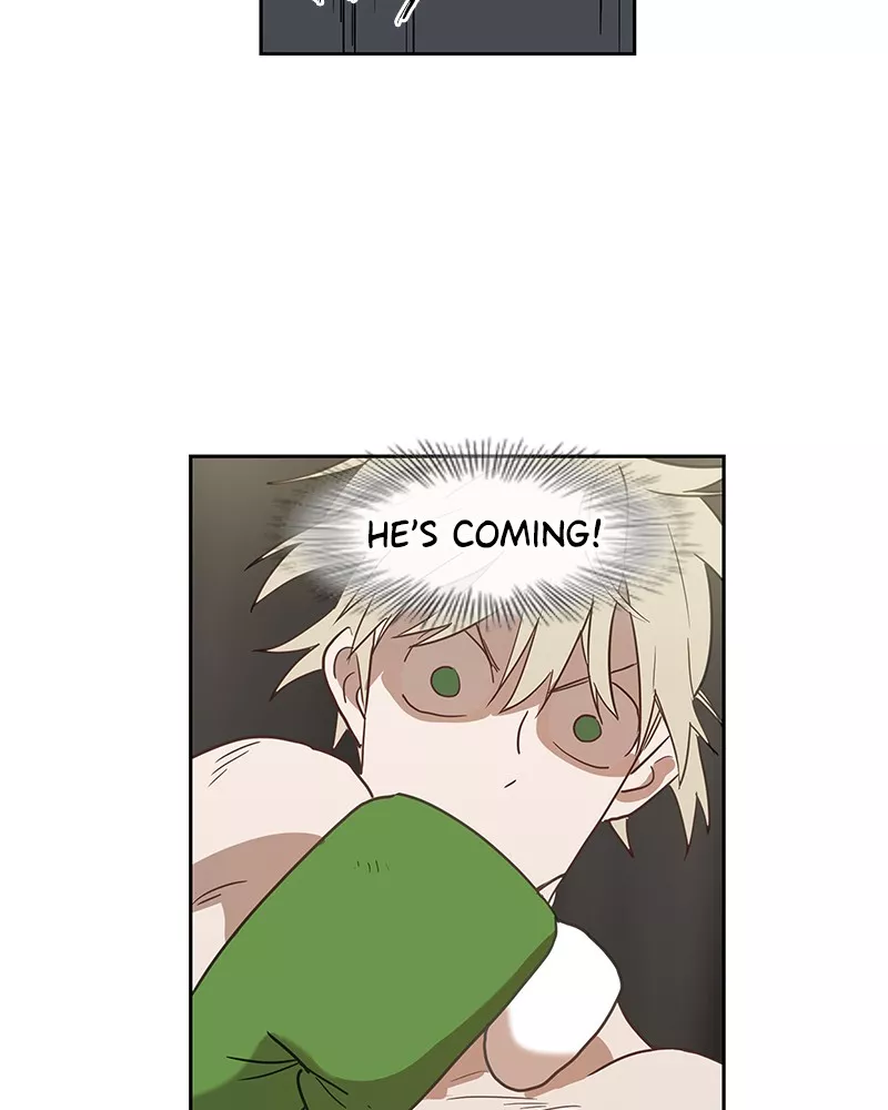 Read The Boxer Manga Online