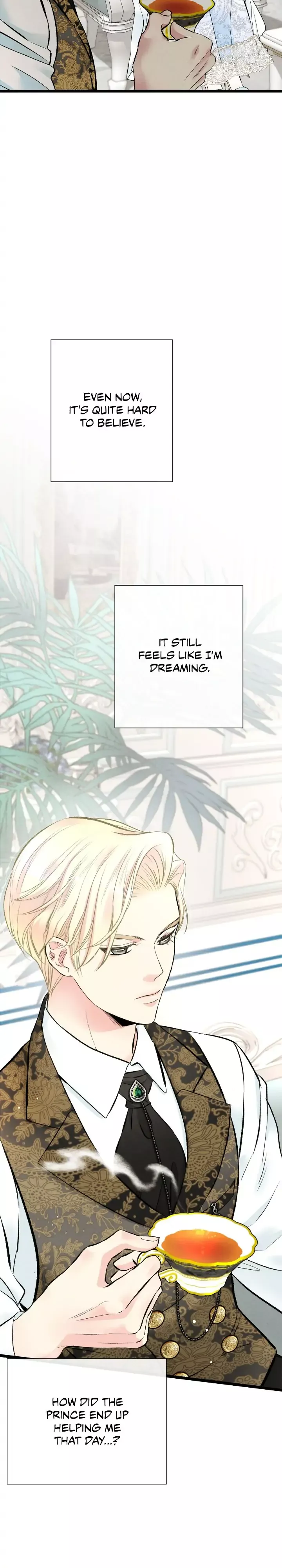 Read The Problematic Prince Manga Online