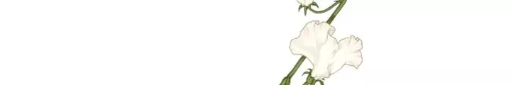 Read The Problematic Prince Manga Online