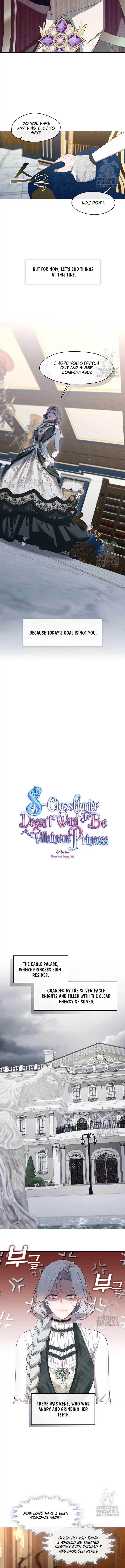Read The S-Class Lady Manga Online