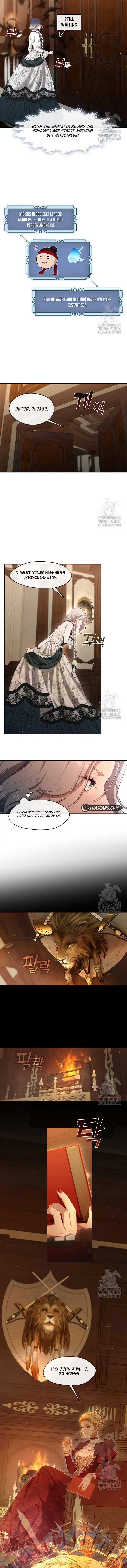 Read The S-Class Lady Manga Online