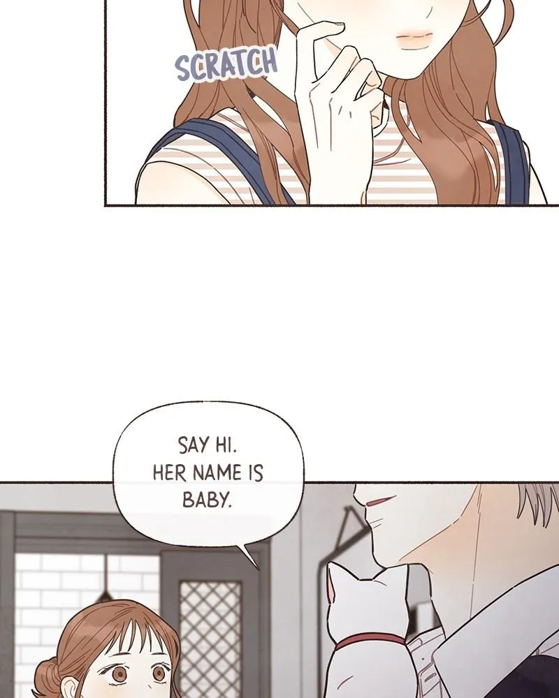 Read Transference Manga Online